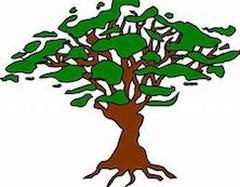 Fort Myers Tree Service logo